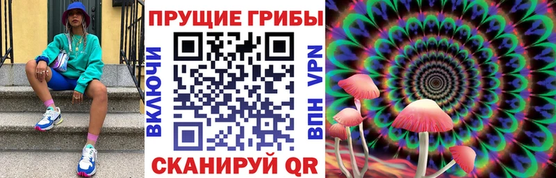 Купить где Углегорск Галлюциногенные грибы Psilocybine cubensis